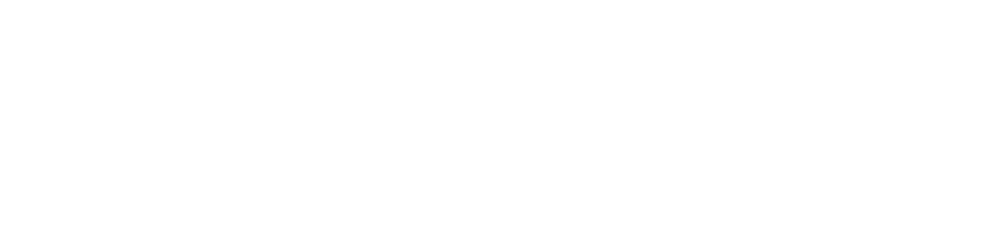 FirstView logo